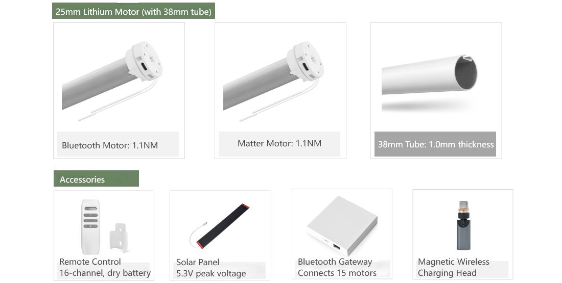 Lithium Battery Motor Control System