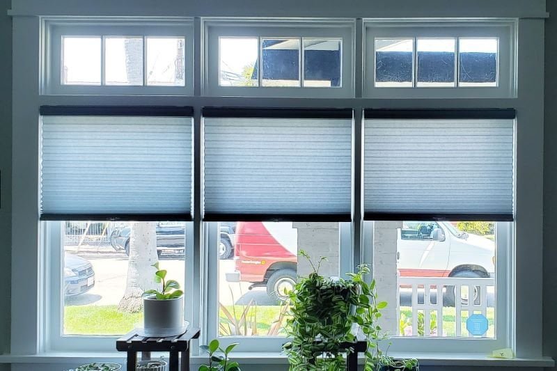 Cellular shades in educational facility classroom