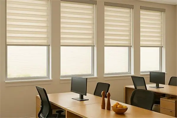 Open office space with coordinated roller shades