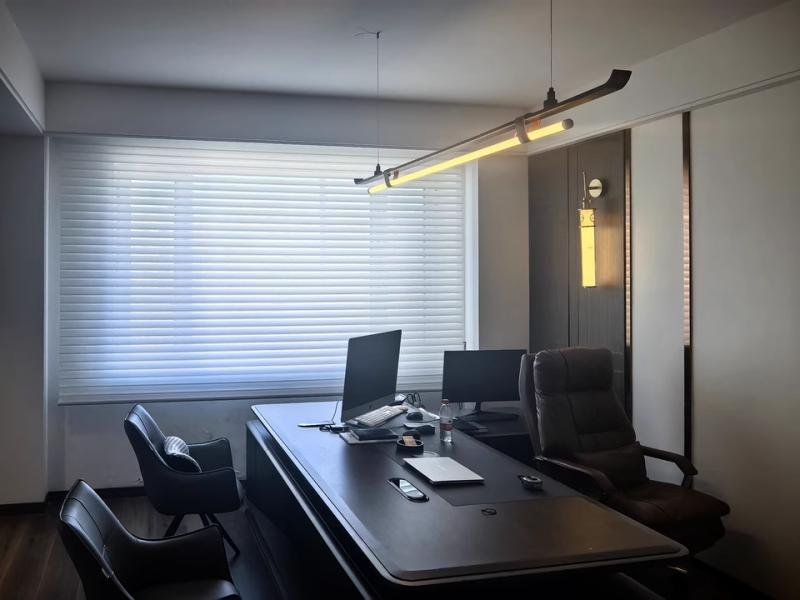 Office window shades -- zebra blinds in commercial workspace